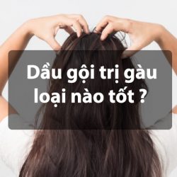 dầu gội trị gàu