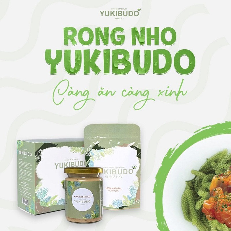 [Review] Rong Nho Yukibudo: Có tốt không, nên mua ở đâu ?