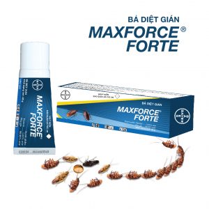 Thuốc diệt gián Maxforce Forte
