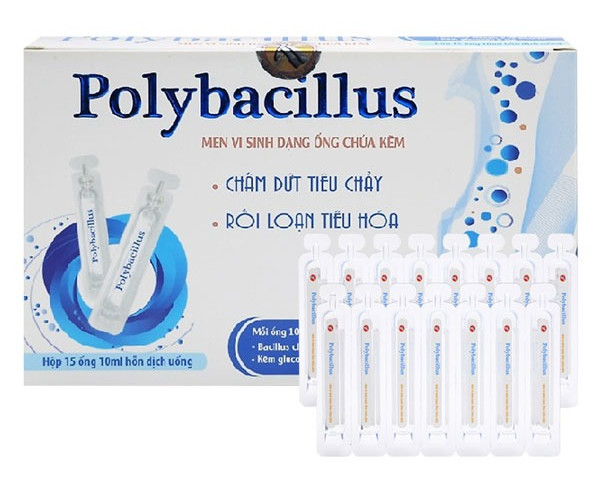 Thuốc tiêu chảy Polybacillus 
